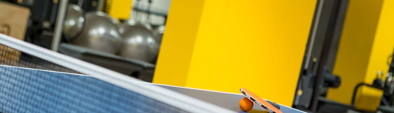 Radisson Blu Park Hotel, Oslo - Gym Table Tennis