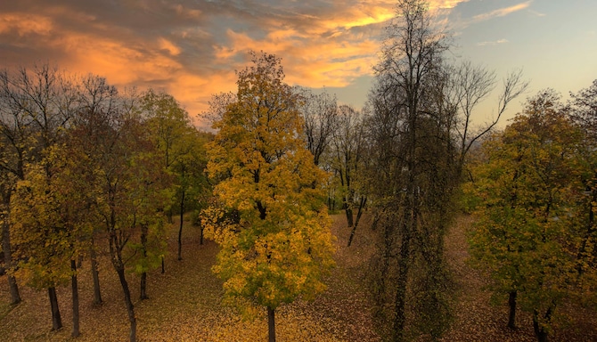 Radisson Blu Park Hotel, Oslo - Park View