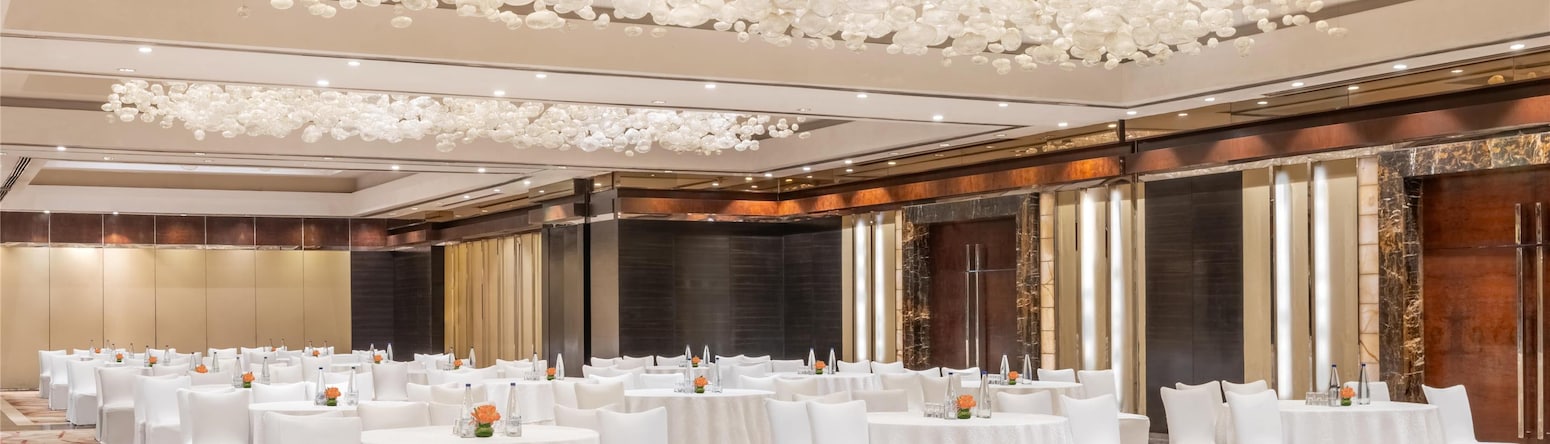 Radisson Hotel Group - Radisson Hotel Group LogoNew