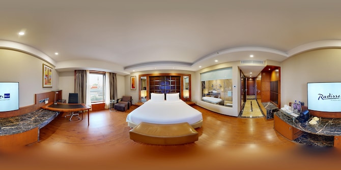 Radisson Blu Plaza Hotel, Delhi Airport - Business Class king