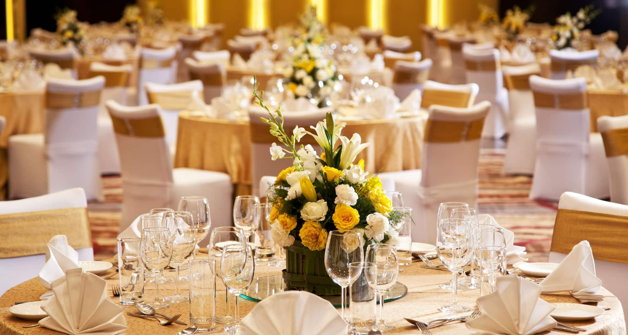 Radisson Blu Plaza Delhi Airport - Meeting Room