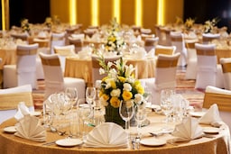 Radisson Blu Plaza Hotel, Delhi Airport - Meeting Room