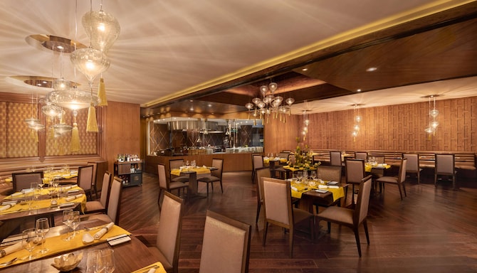 Radisson Blu Plaza Hotel, Delhi Airport - Neung Roi