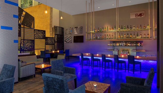 Radisson Blu Plaza Hotel Hyderabad Banjara Hills - Bar 41