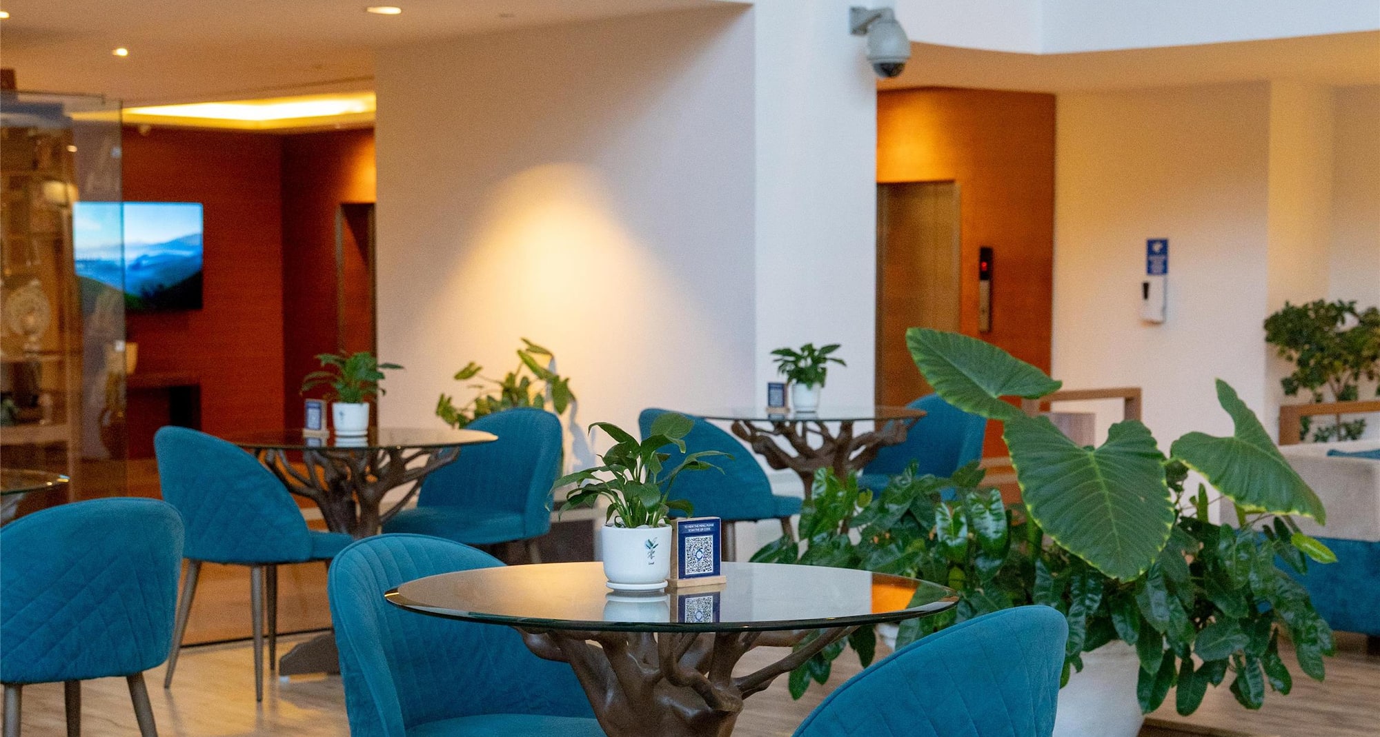 Radisson Blu Plaza Hotel, Hyderabad Banjara Hills - Cafe Blu