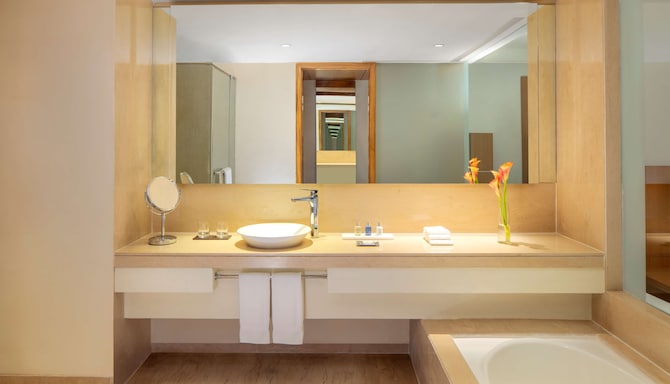Radisson Blu Plaza Hotel, Hyderabad Banjara Hills - Superior Room Bathroom