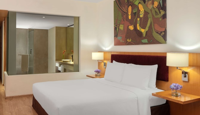 Radisson Blu Plaza Hotel, Hyderabad Banjara Hills - Deluxe Class Room