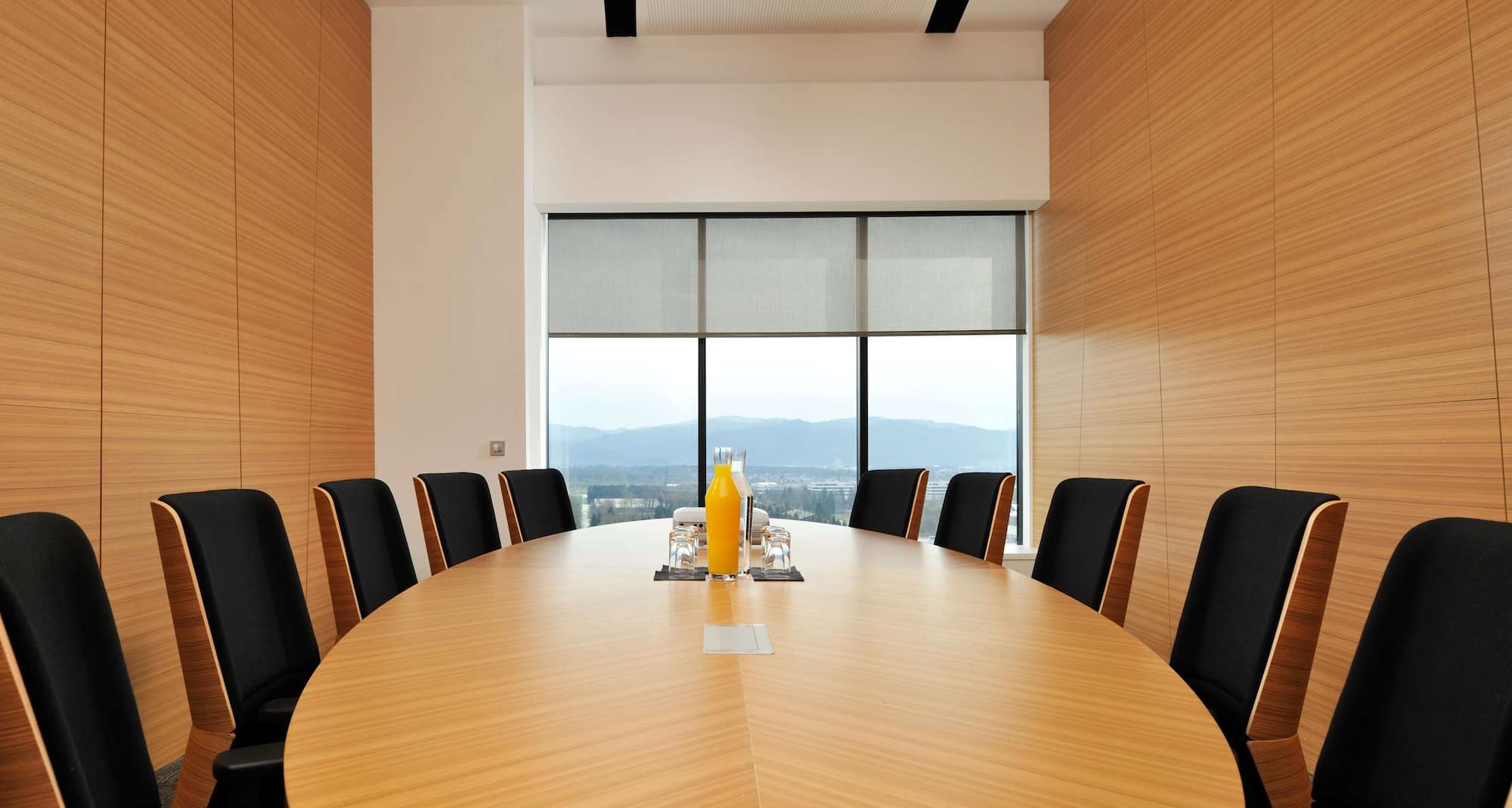 Radisson Blu Plaza Hotel, Ljubljana - Meeting Room