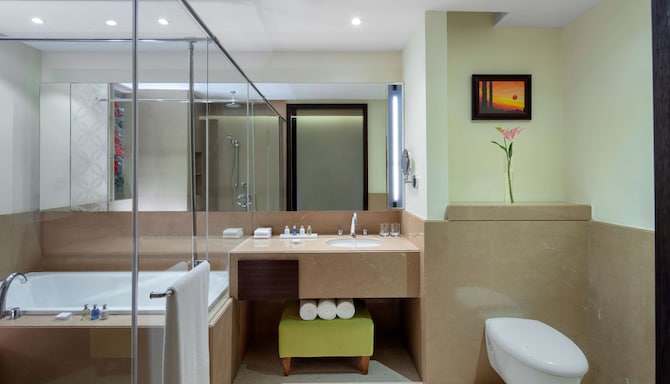 Radisson Blu Plaza Hotel Mysore - Room Bathroom