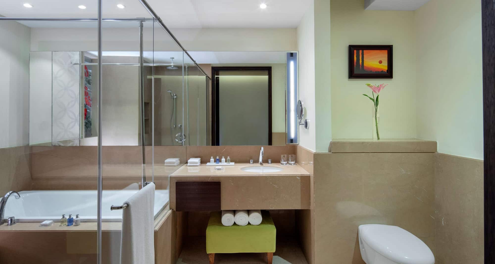 Radisson Blu Plaza Hotel Mysore - Room Bathroom