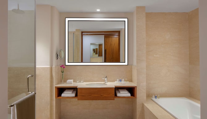 Radisson Blu Plaza Hotel Mysore - Guest bathroom