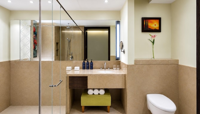Radisson Blu Plaza Hotel, Mysore - Bathroom