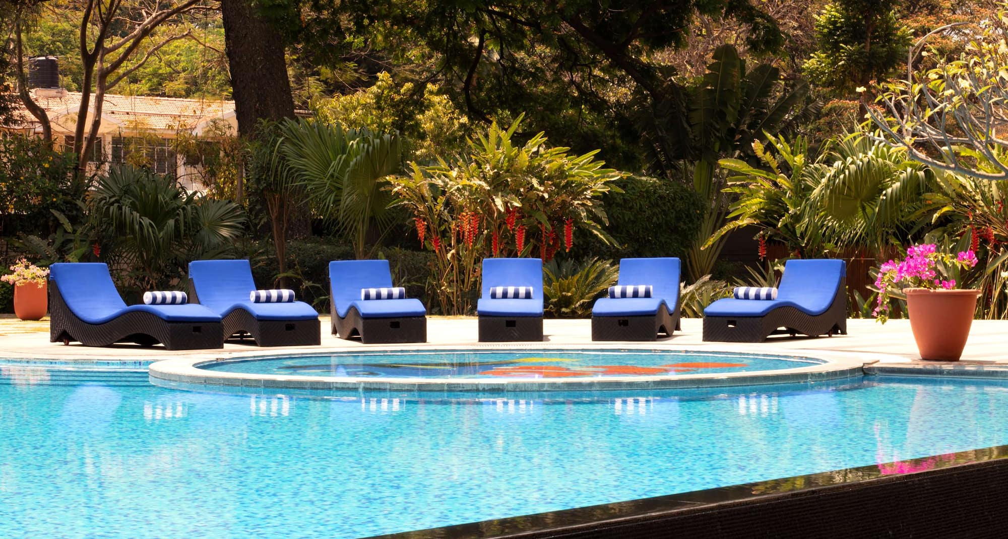 Radisson Blu Plaza Hotel Mysore - Swimming Pool