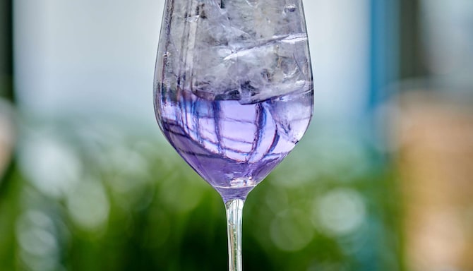 Radisson Blu Plaza Hotel, Oslo - The Top Terrace