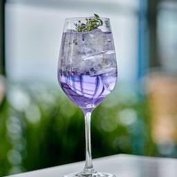 Radisson Blu Plaza Hotel, Oslo - The Top Terrace