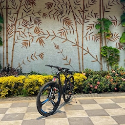 Radisson Blu Plaza Resort & Convention Centre, Karjat - साइकलिंग