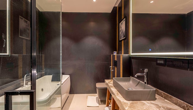Radisson Blu Plaza Resort & Convention Centre, Karjat - Executive room Bathroom