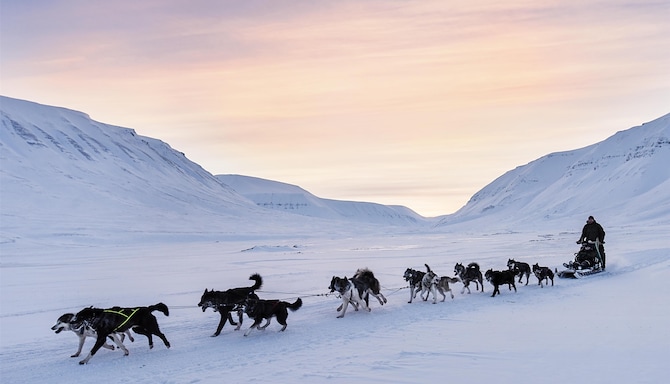 Radisson Blu Polar Hotel, Spitsbergen - Dog sledding