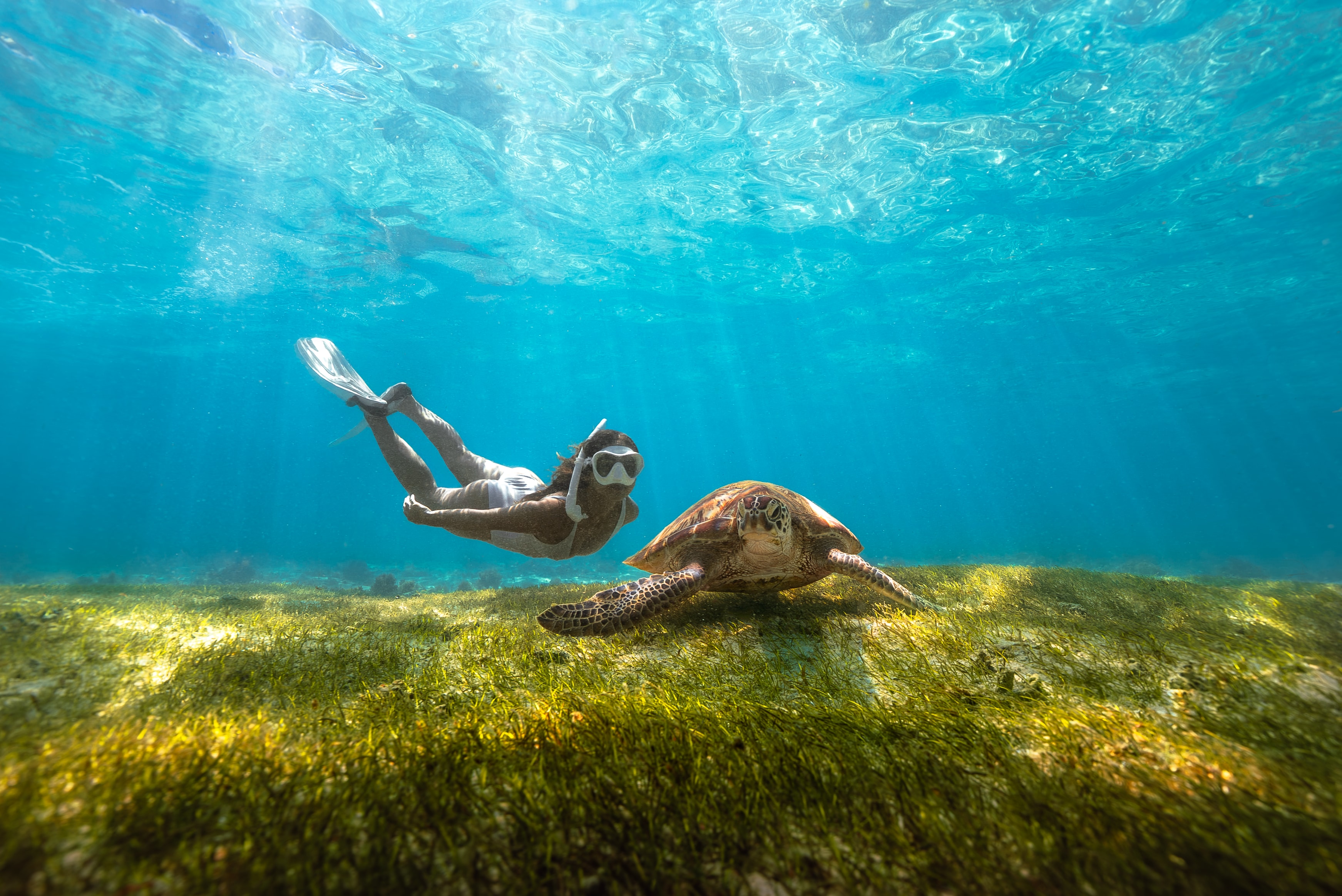 Radisson Blu Poste Lafayette Resort & Spa, Mauritius - 大堂一览