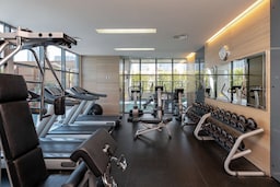 The Radisson Blu Residence, Dubai Marina - Gym