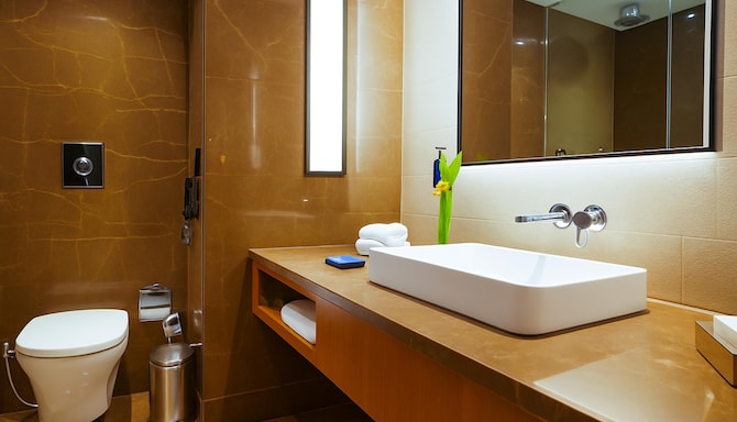 Radisson Blu Resort Dharamshala - Bad im Gästezimmer