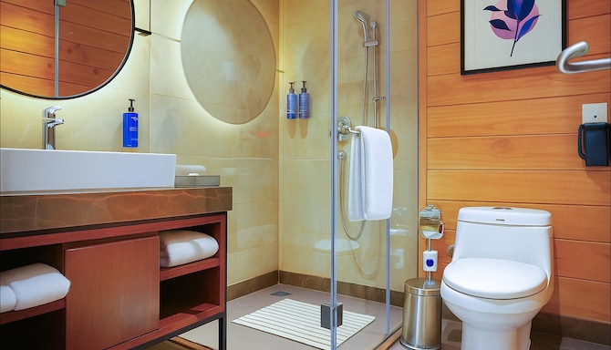 Radisson Blu Resort Dharamshala - Bad im Gästezimmer