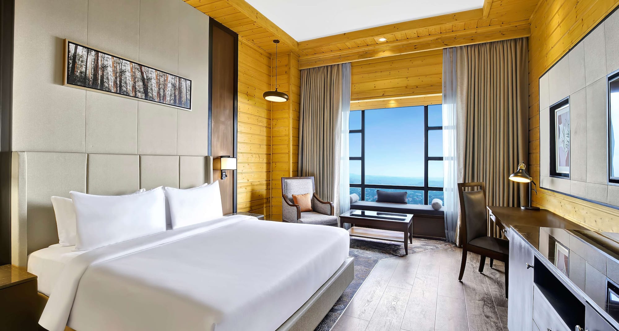 Radisson Blu Resort Dharamshala - Deluxe Room