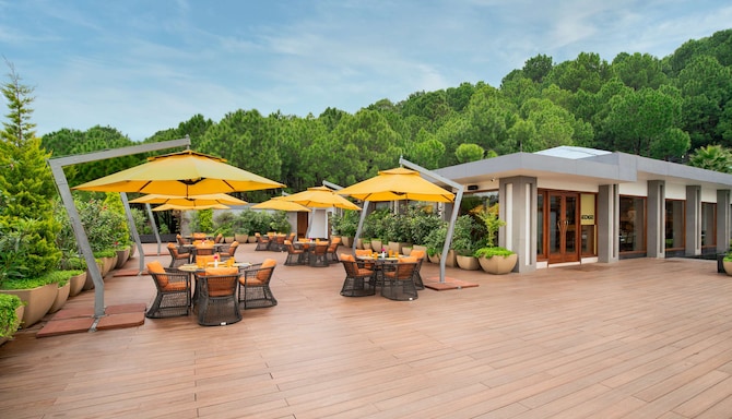 THE EDGE - OPEN DECK