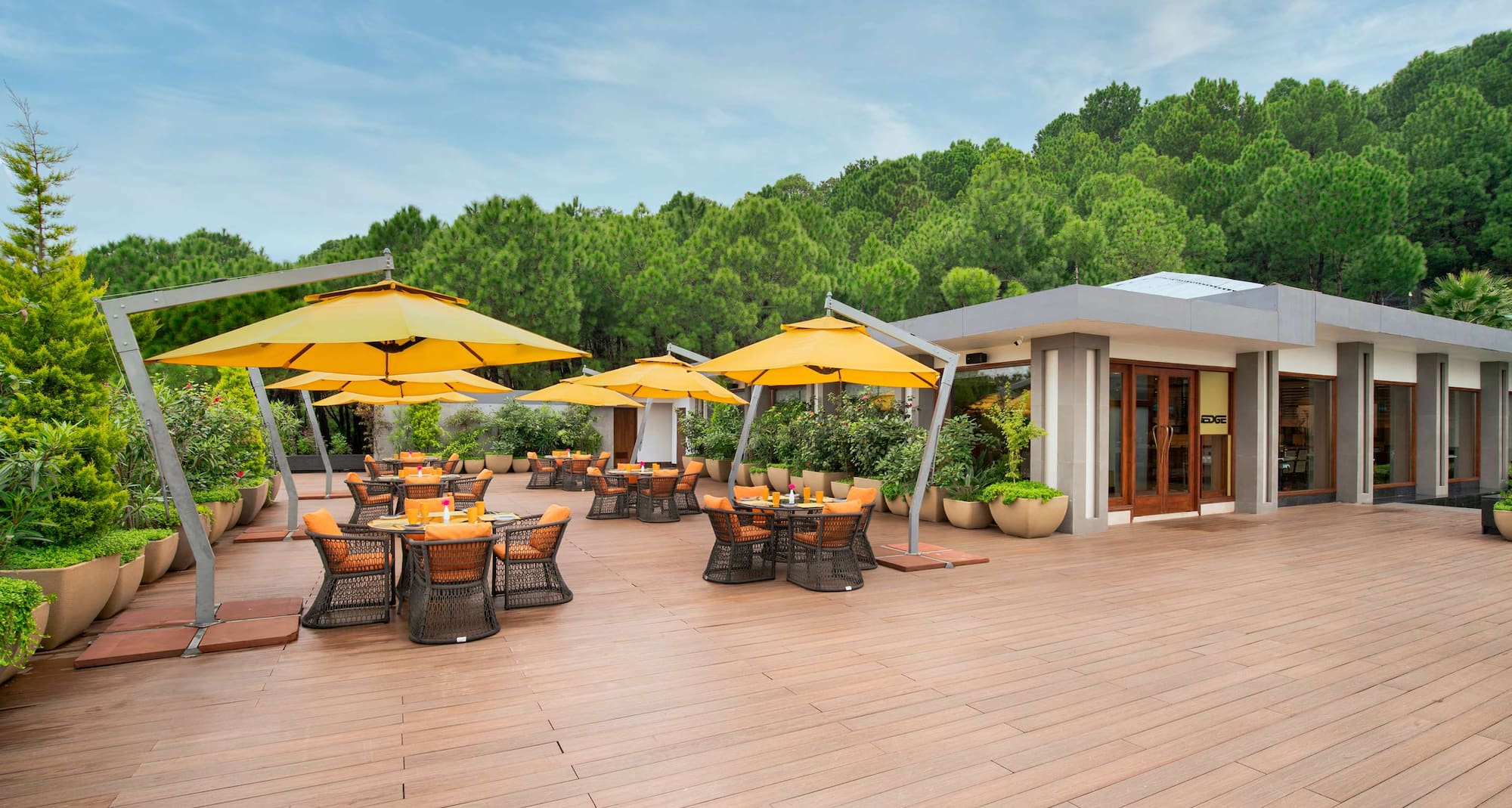 Radisson Blu Resort Dharamshala - The Edge - terrace