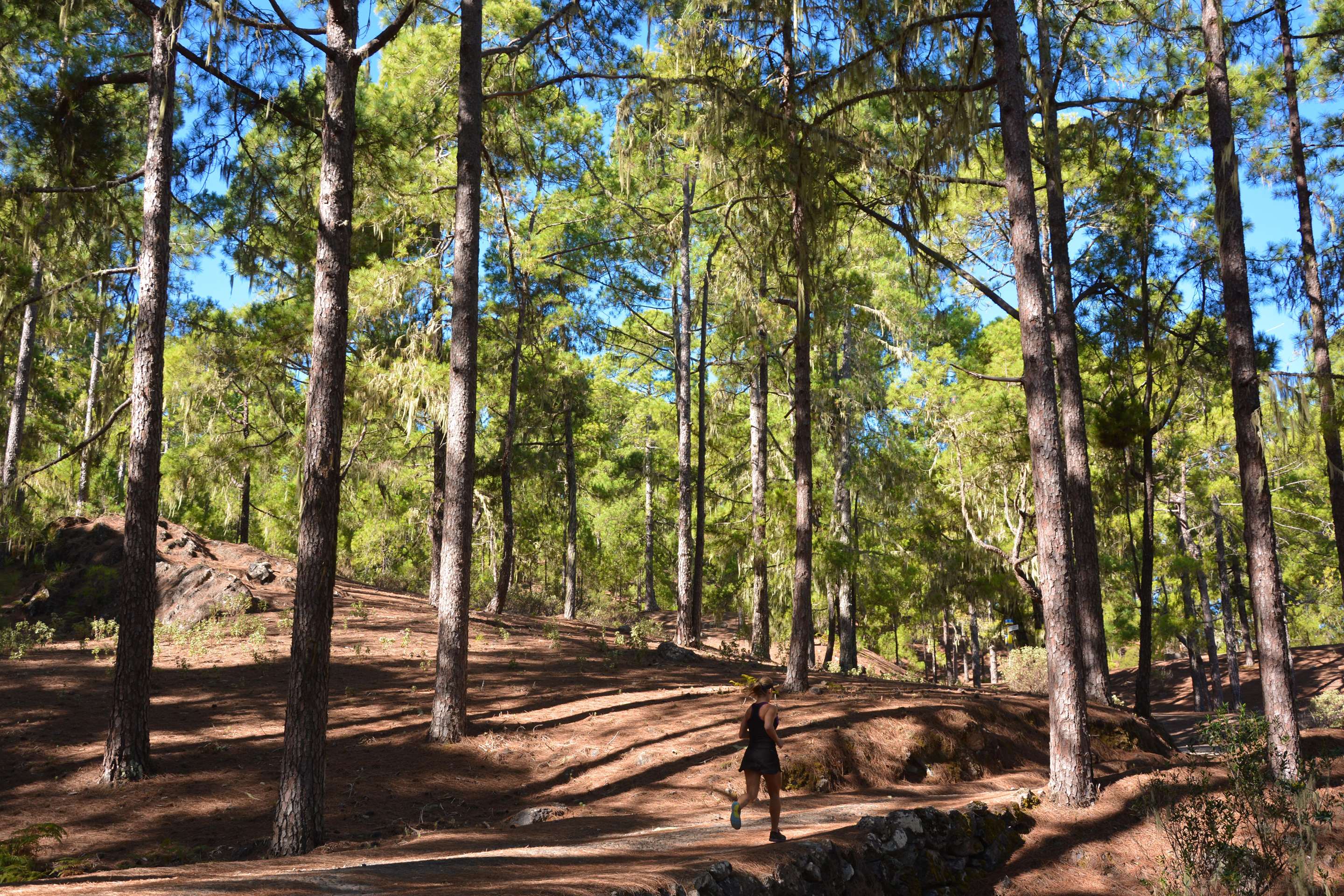 Radisson Blu Resort, Gran Canaria - Llanos de la pez Gran Canaria