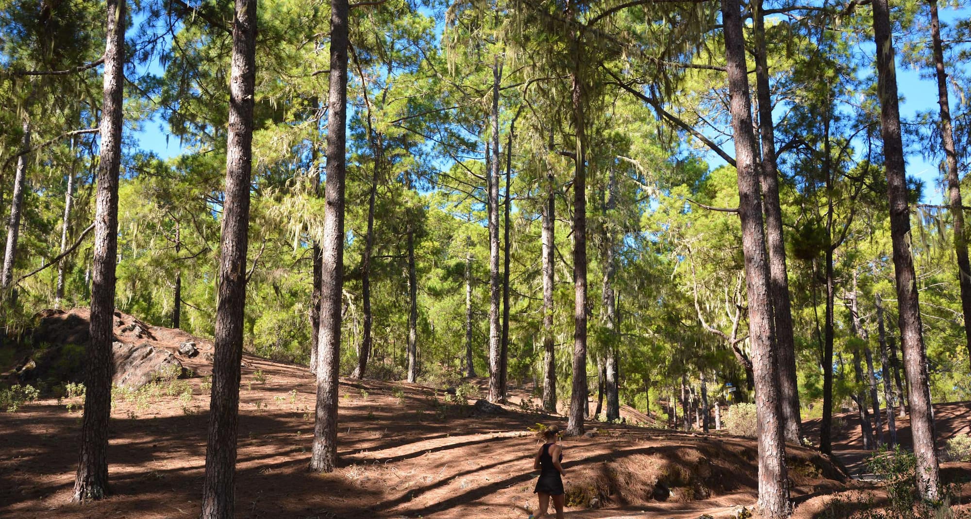 Radisson Blu Resort, Gran Canaria - Llanos de la pez Gran Canaria