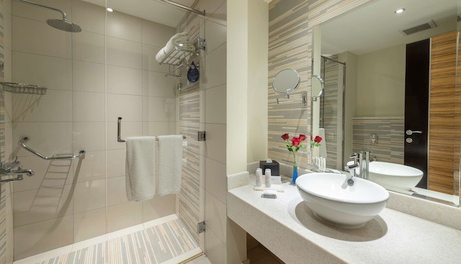 Radisson Blu Resort, Jizan - Wash room
