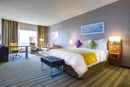 Radisson Blu Resort, Jizan - Standard room