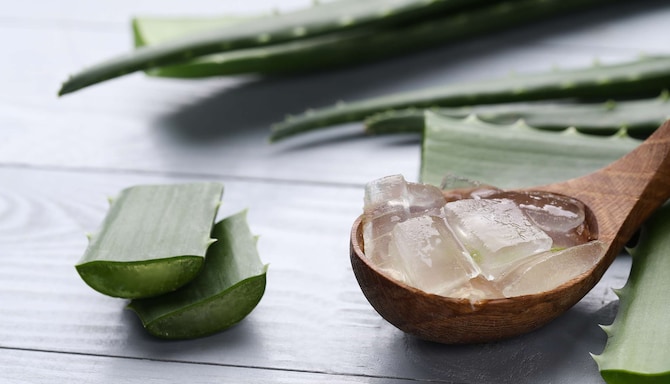 Radisson Blu Resort, Lanzarote - Lanzarote Activities - Aloe Vera Workshop