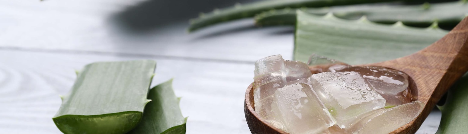 Radisson Blu Resort, Lanzarote - Lanzarote Activities - Aloe Vera Workshop