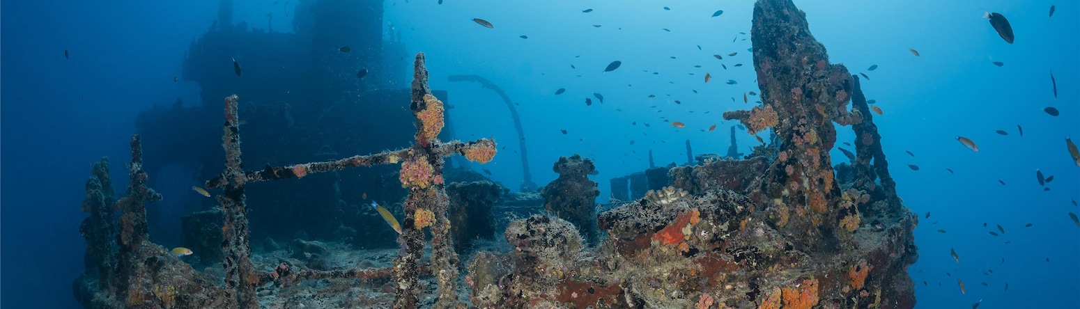 Radisson Blu Resort, Maldives - Underwater Shipwreck
