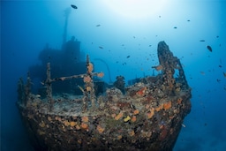 Radisson Blu Resort, Maldives - Underwater Shipwreck