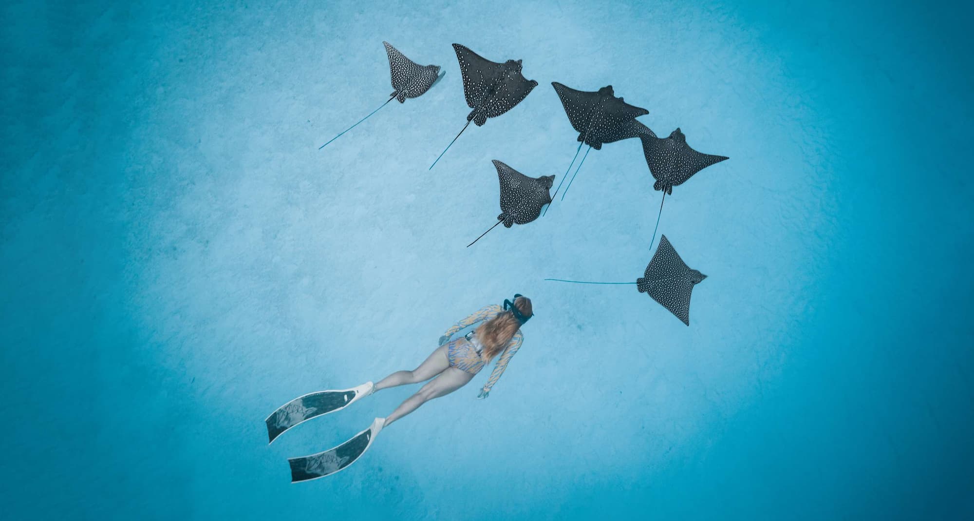 Radisson Blu Resort, Maldives - Diving with Rays