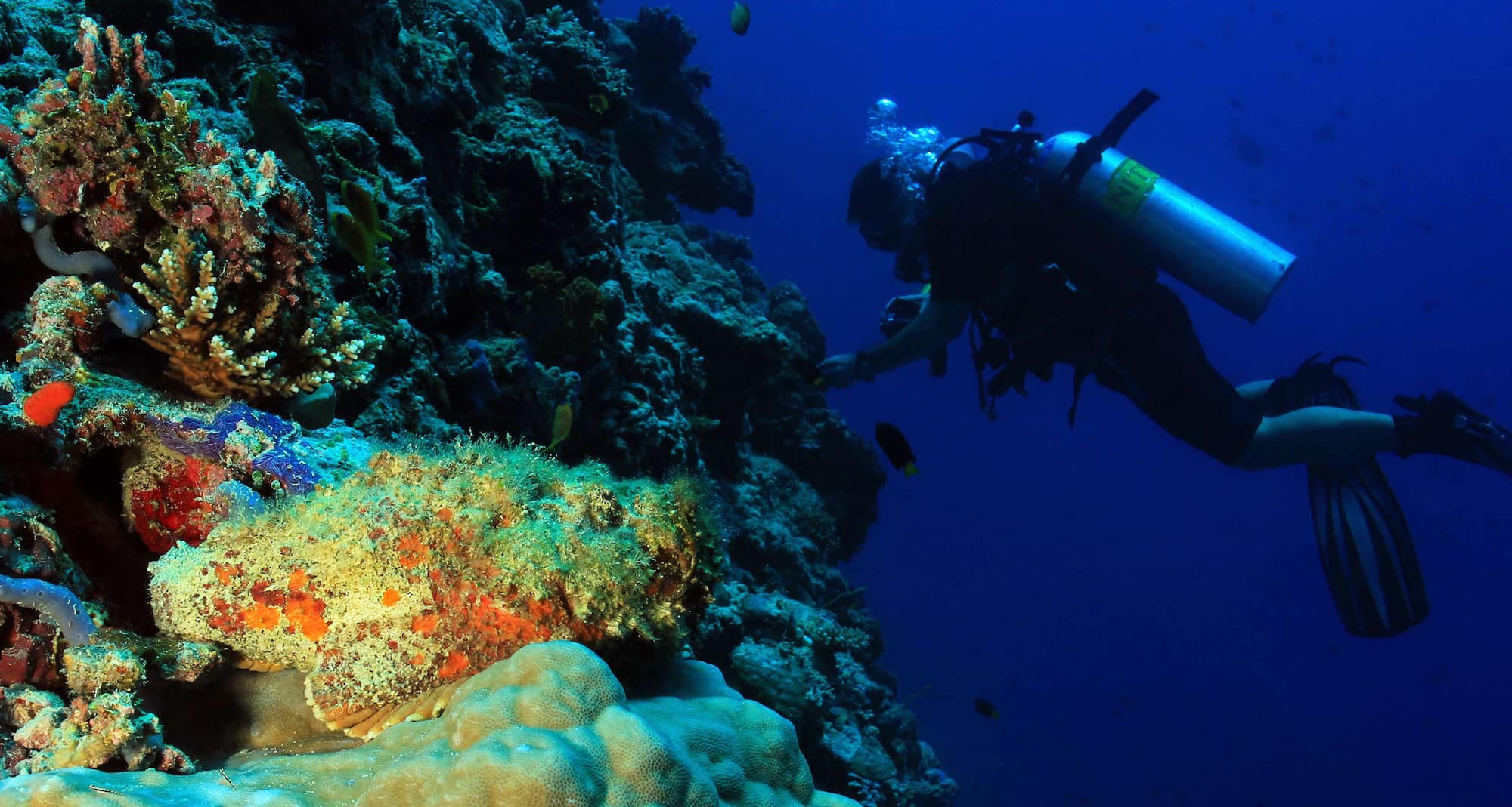 Radisson Blu Resort, Maldives - Diving at Reef Wall