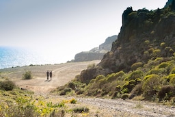 Radisson Blu Resort, Malta St. Julian s - Local attraction