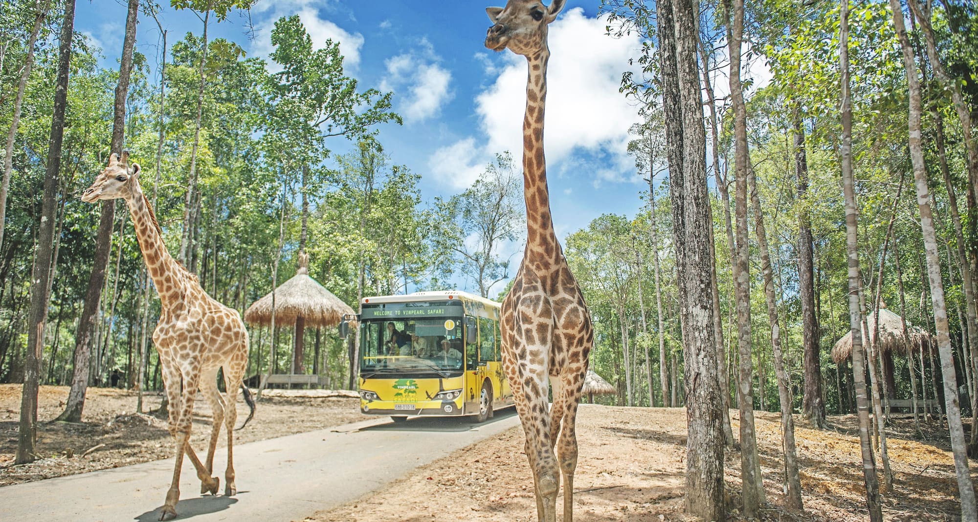 Radisson Blu Resort, Phu Quoc - Safari Phu Quoc