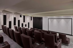 Radisson Blu Resort and Spa, Korek Mountain - Cinema