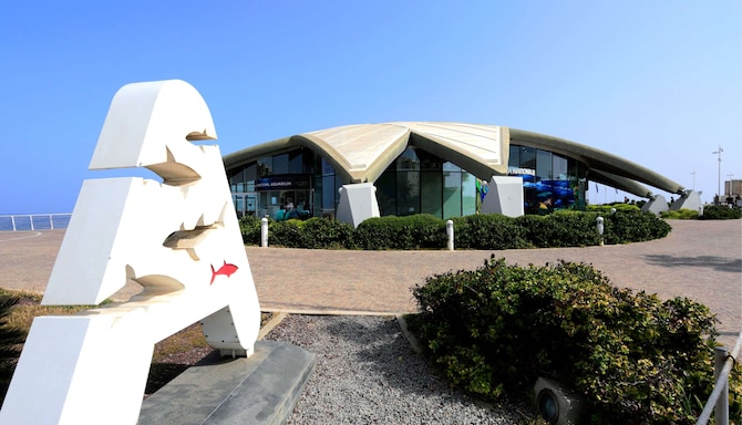 Radisson Blu Resort and Spa, Malta Golden Sands - Malta National Aquarium
