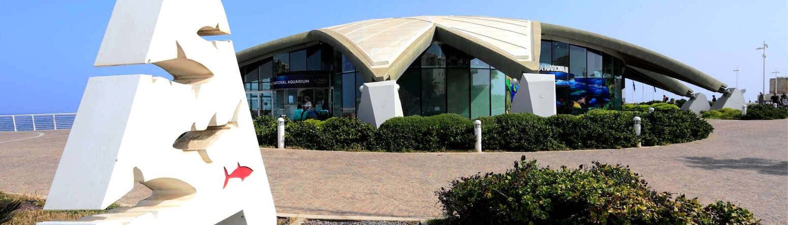 Radisson Blu Resort and Spa, Malta Golden Sands - Malta National Aquarium