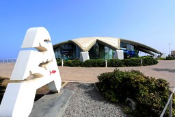 Radisson Blu Resort and Spa, Malta Golden Sands - Malta National Aquarium