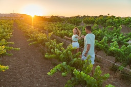 Radisson Blu Resort and Spa, Malta Golden Sands - Wine Experience