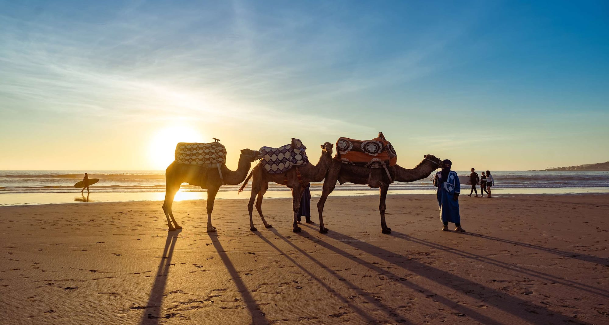 Radisson Blu Resort, Taghazout Bay Surf Village - Camels on the beach