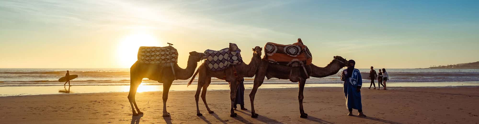 Radisson Blu Resort, Taghazout Bay Surf Village - Camels on the beach