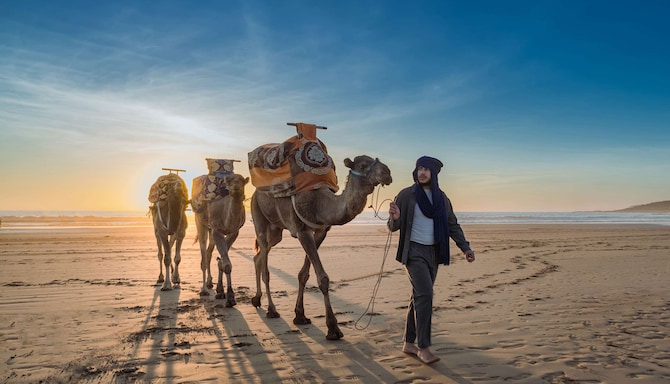 Radisson Blu Resort, Taghazout Bay Surf Village - Camels on the beach