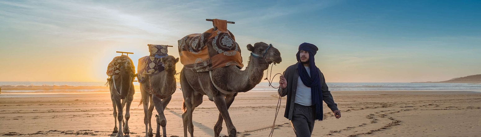 Discover Agadir and Taghazout